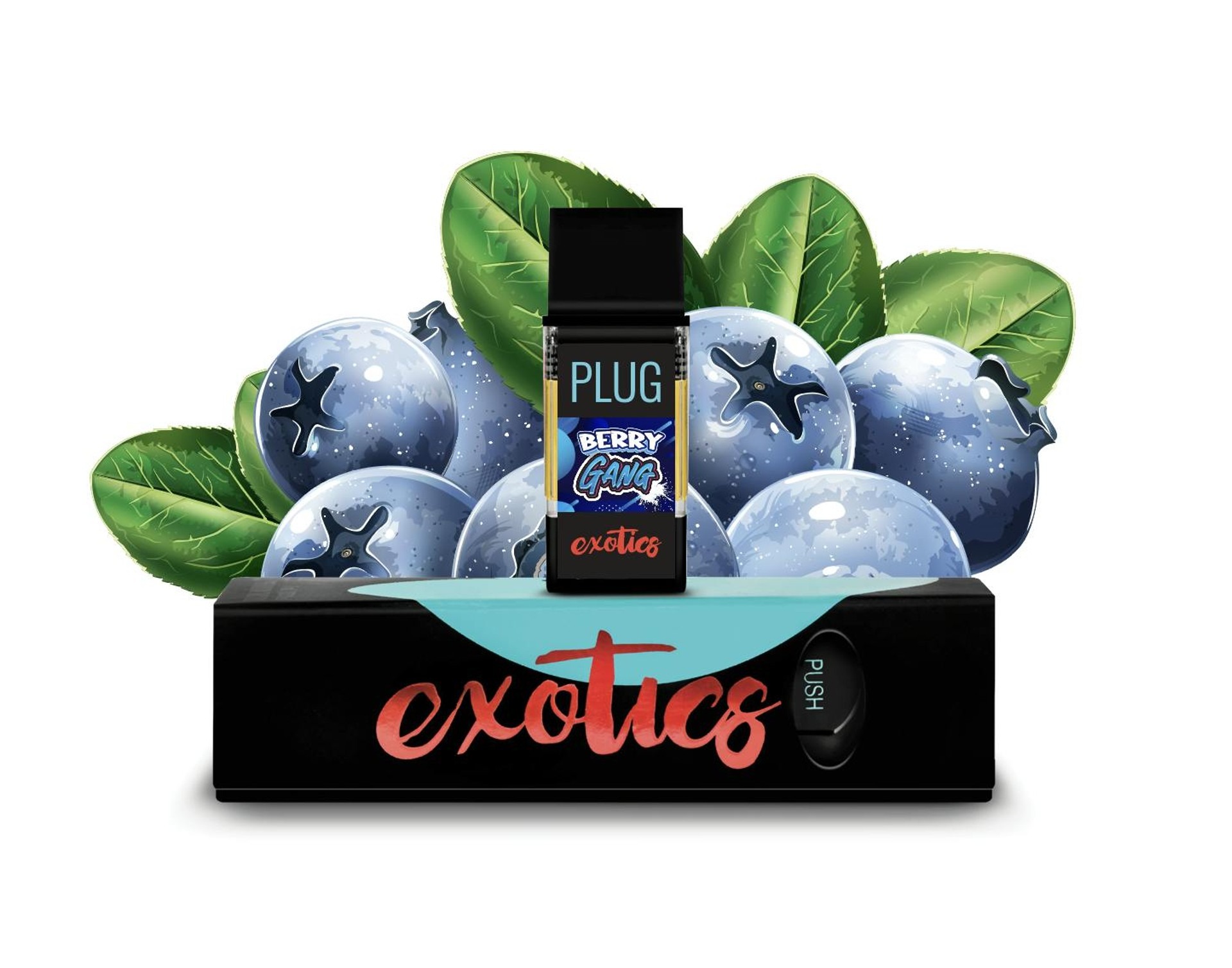 Primary Product Image