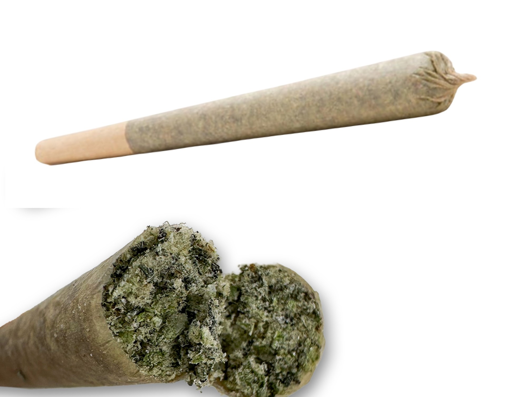 Primary Product Image