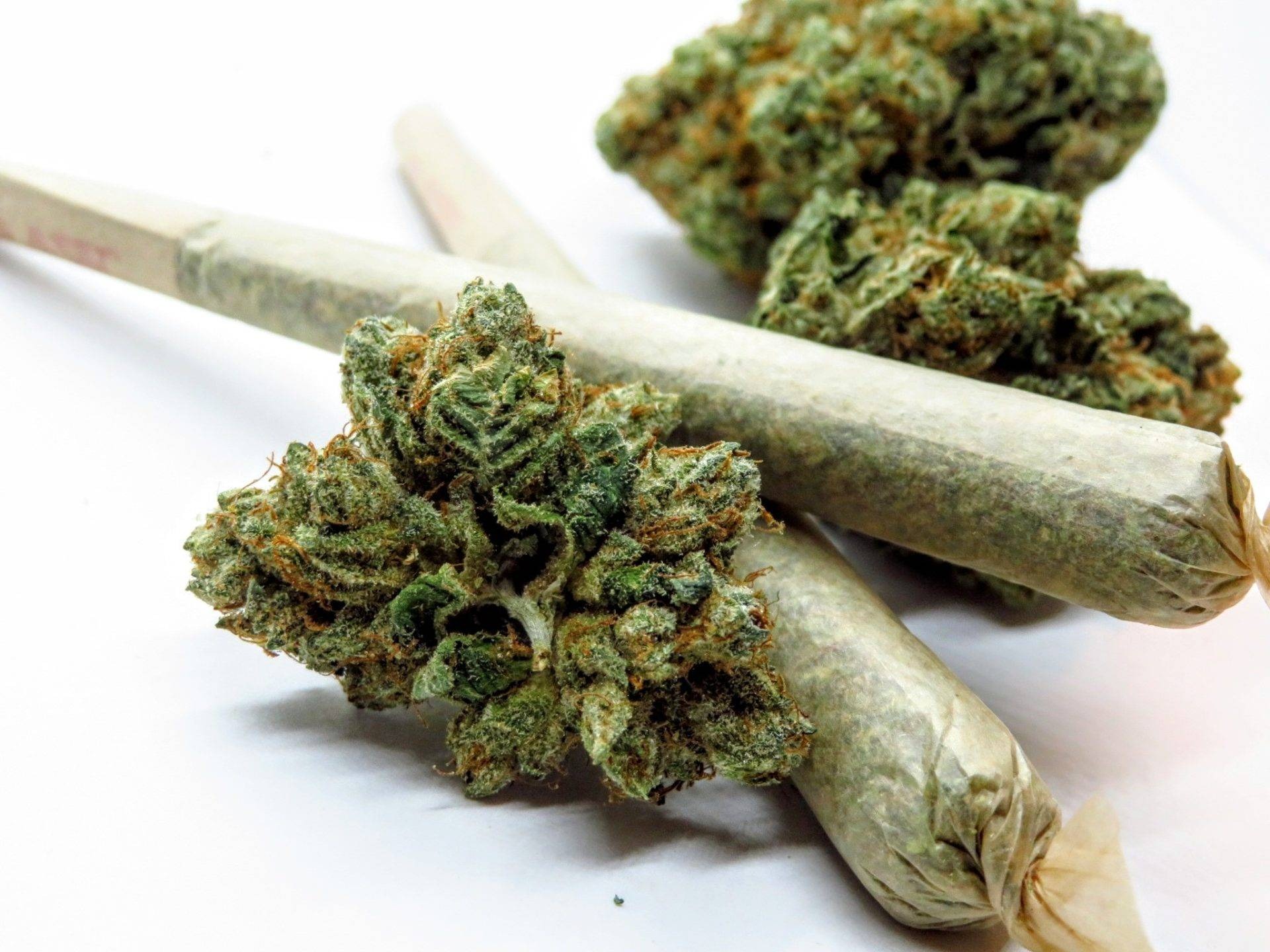 Primary Product Image