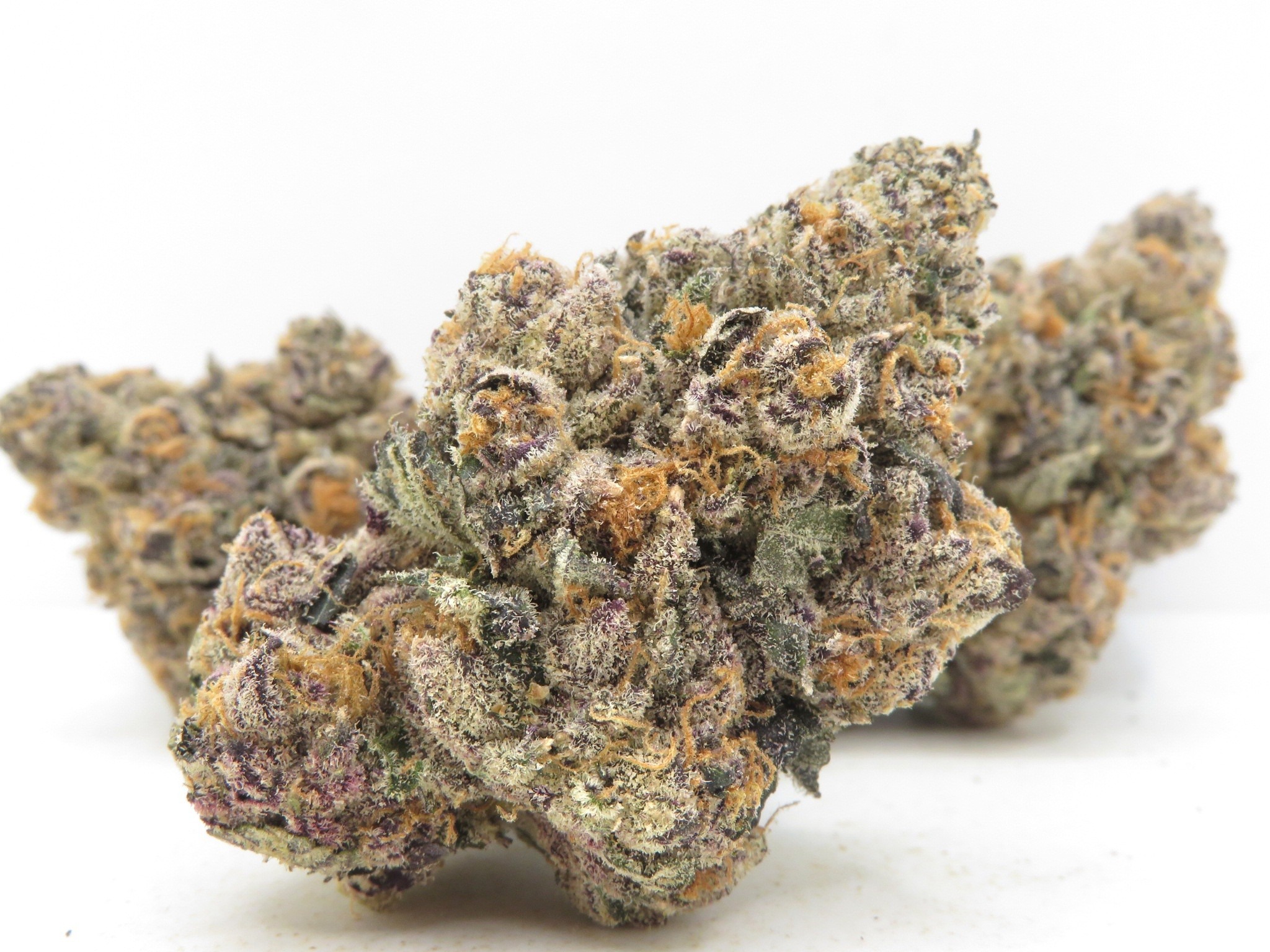 Primary Product Image