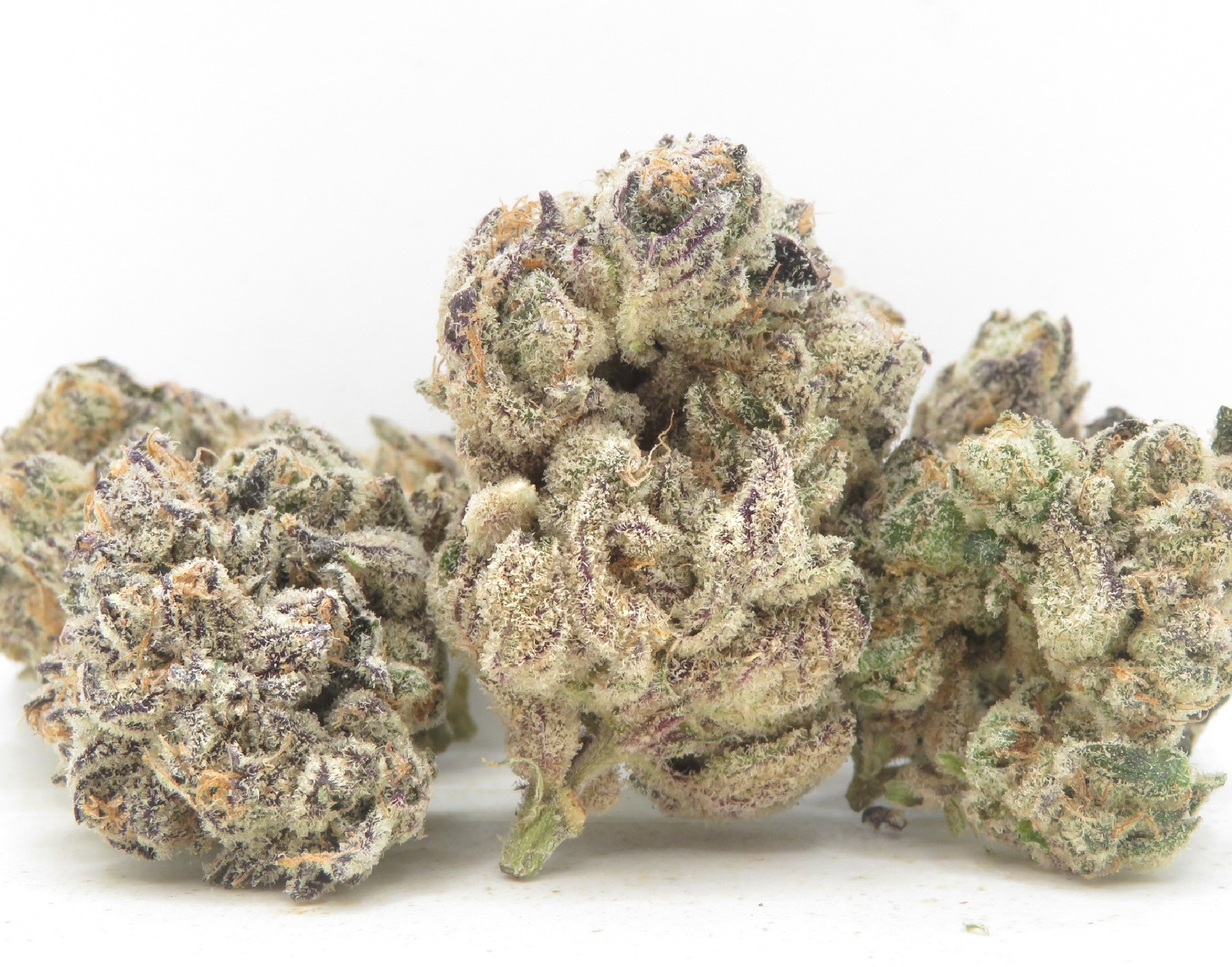 Primary Product Image