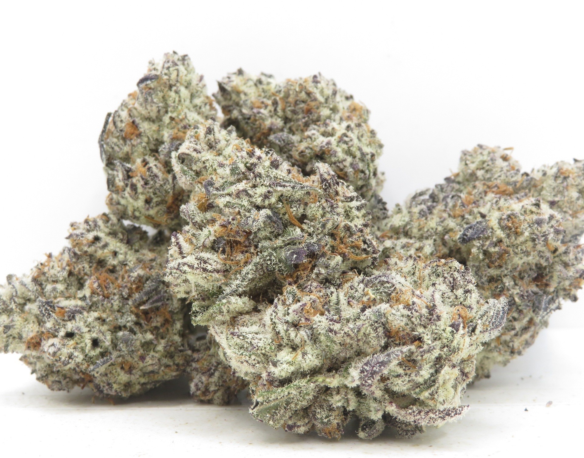 Primary Product Image