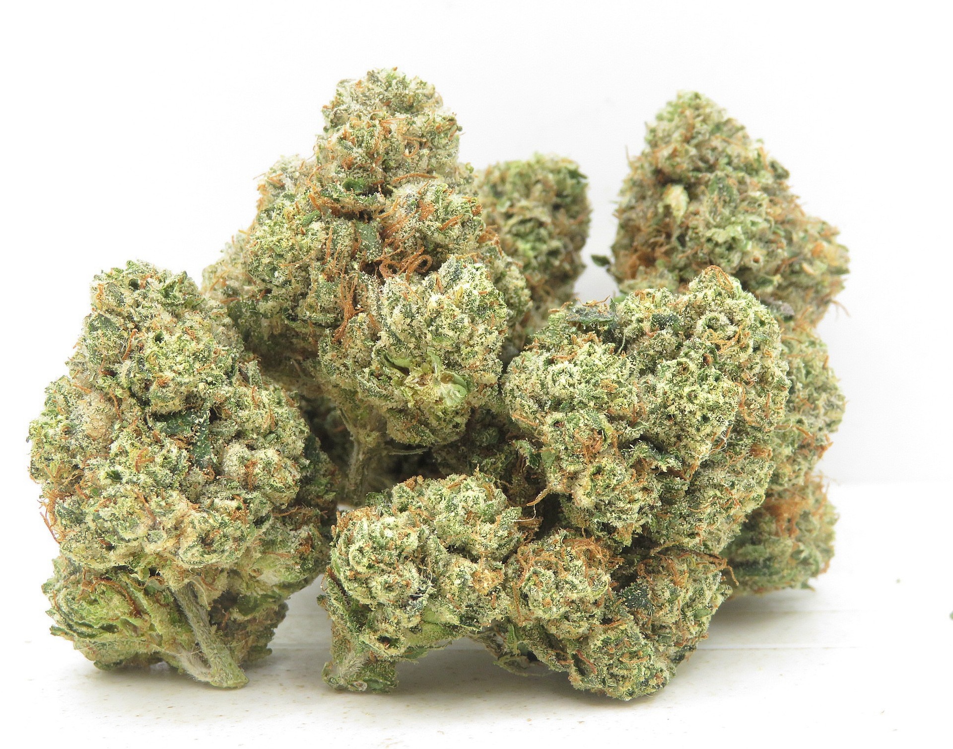 Primary Product Image