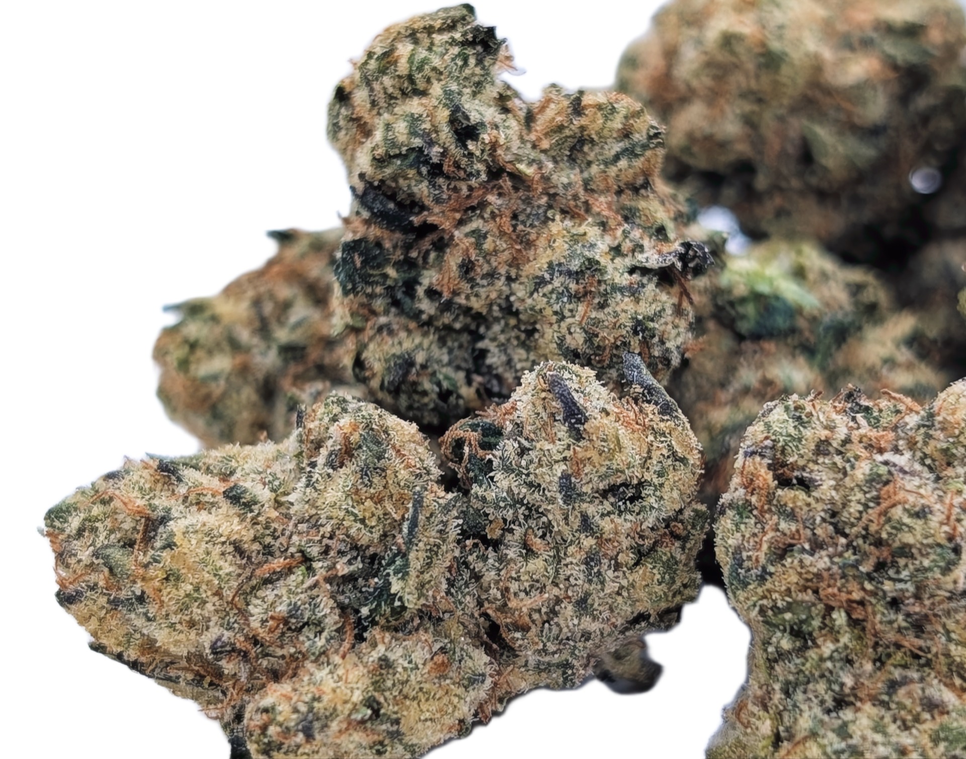 Primary Product Image