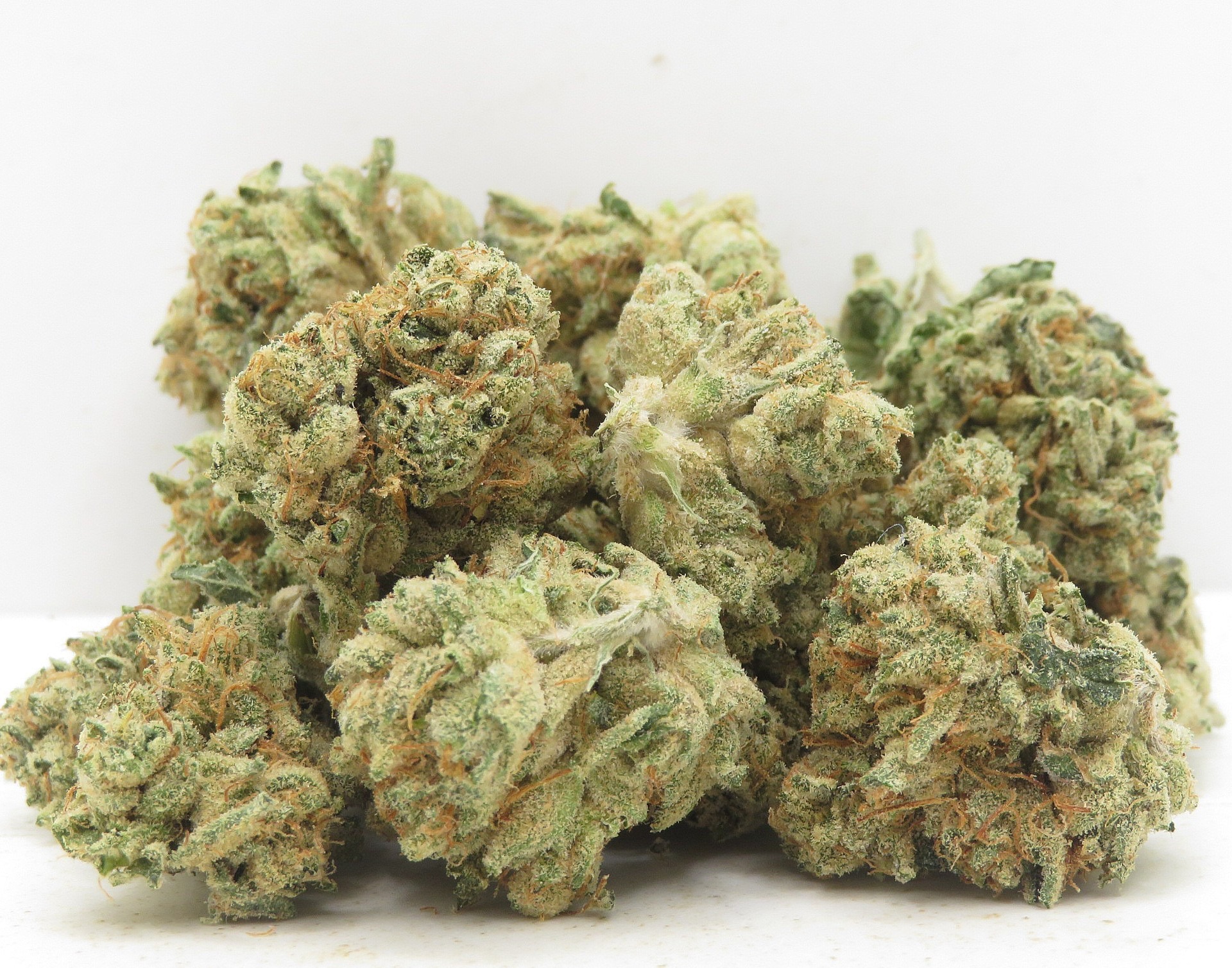 Primary Product Image