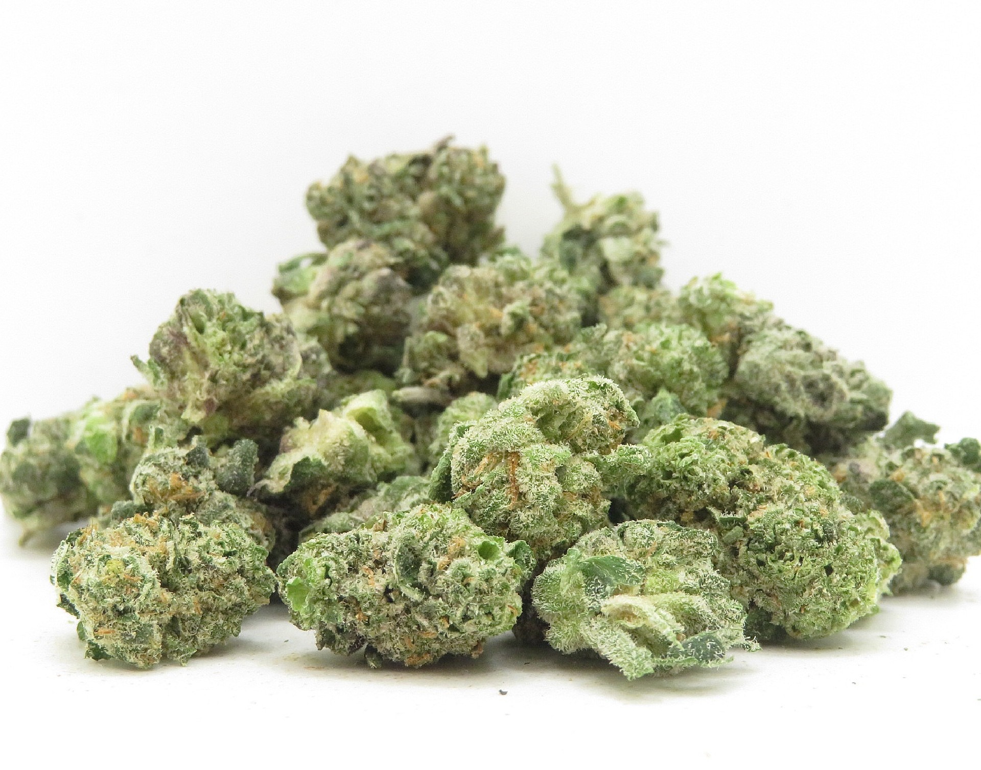Primary Product Image