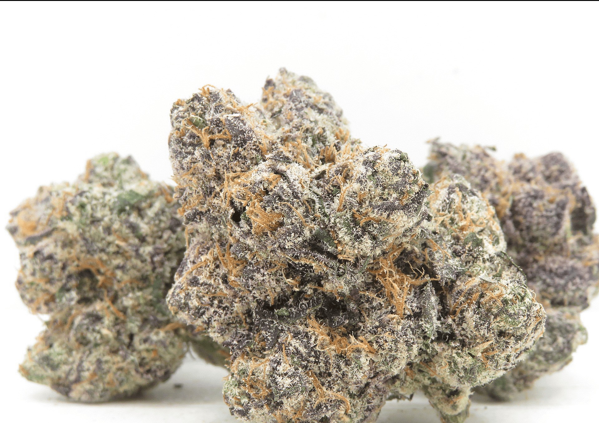 Primary Product Image