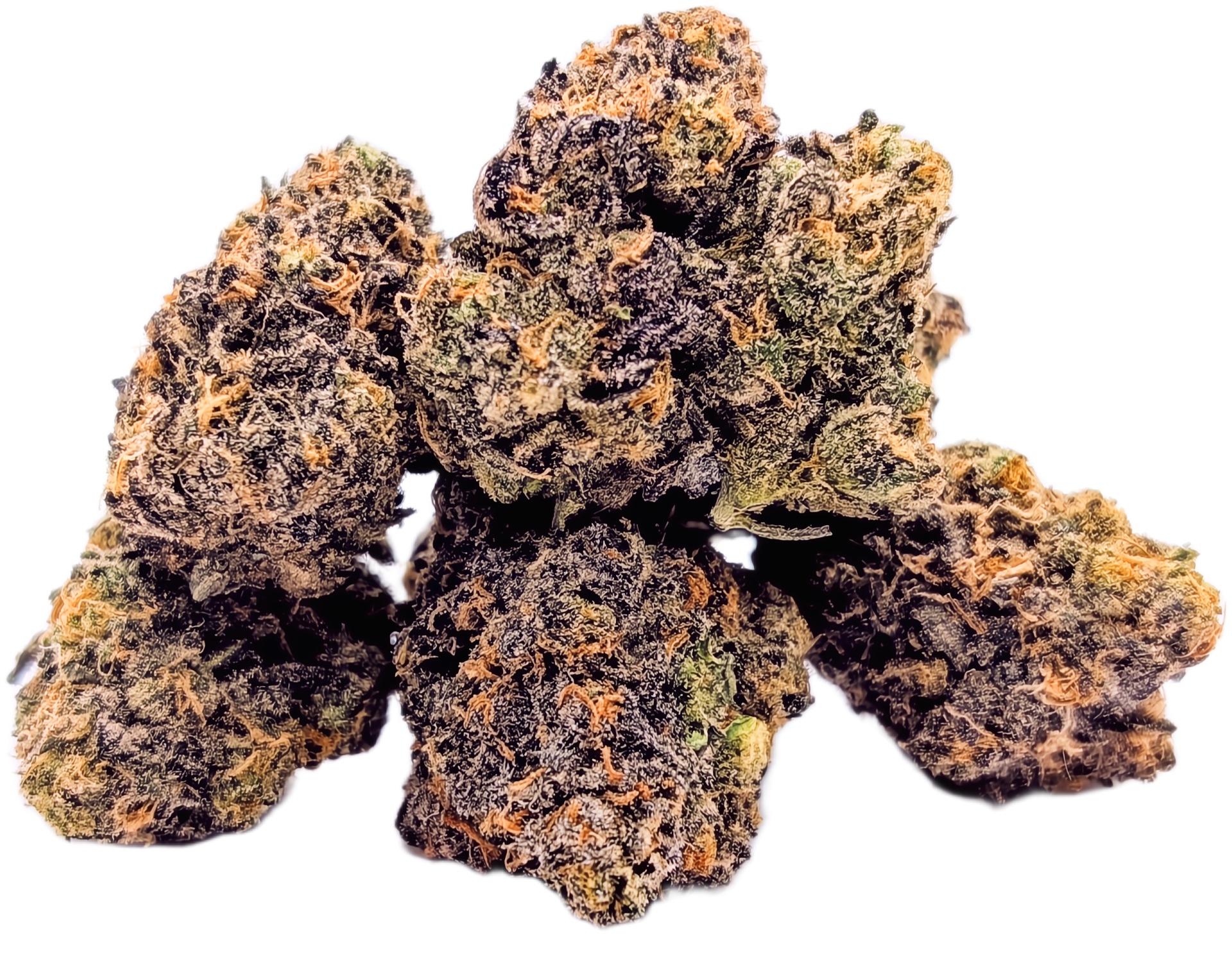 Primary Product Image