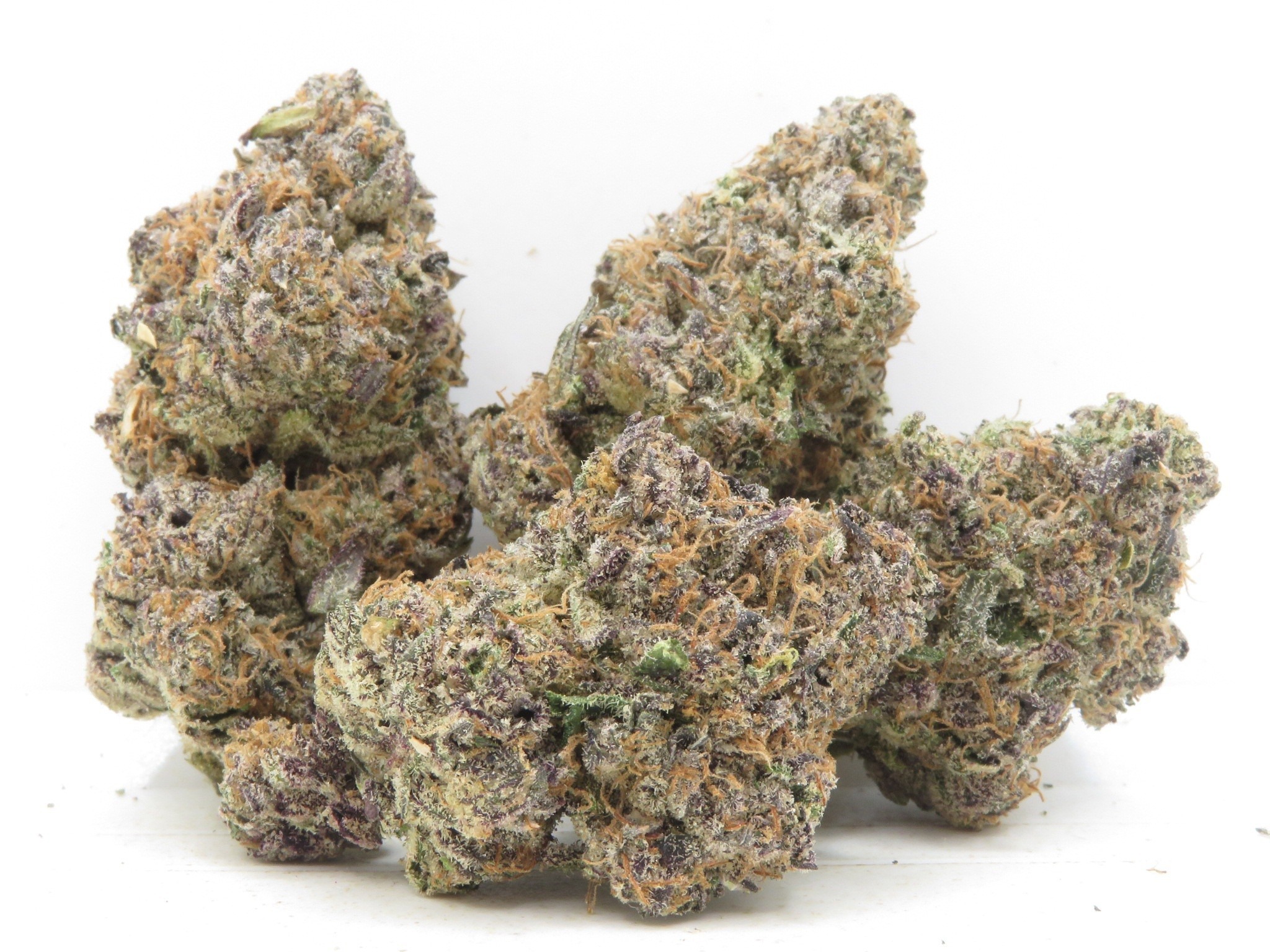 Primary Product Image