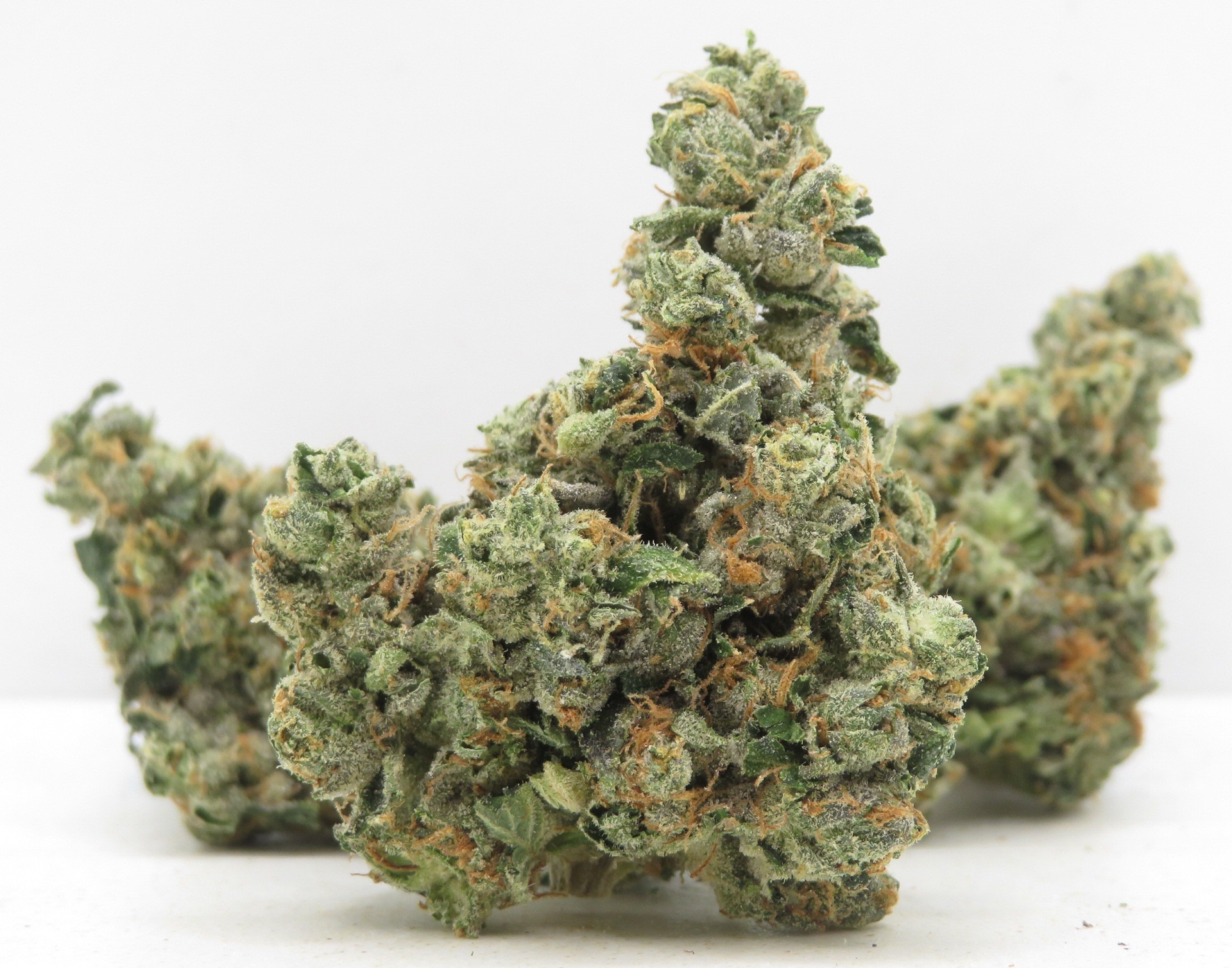 Primary Product Image