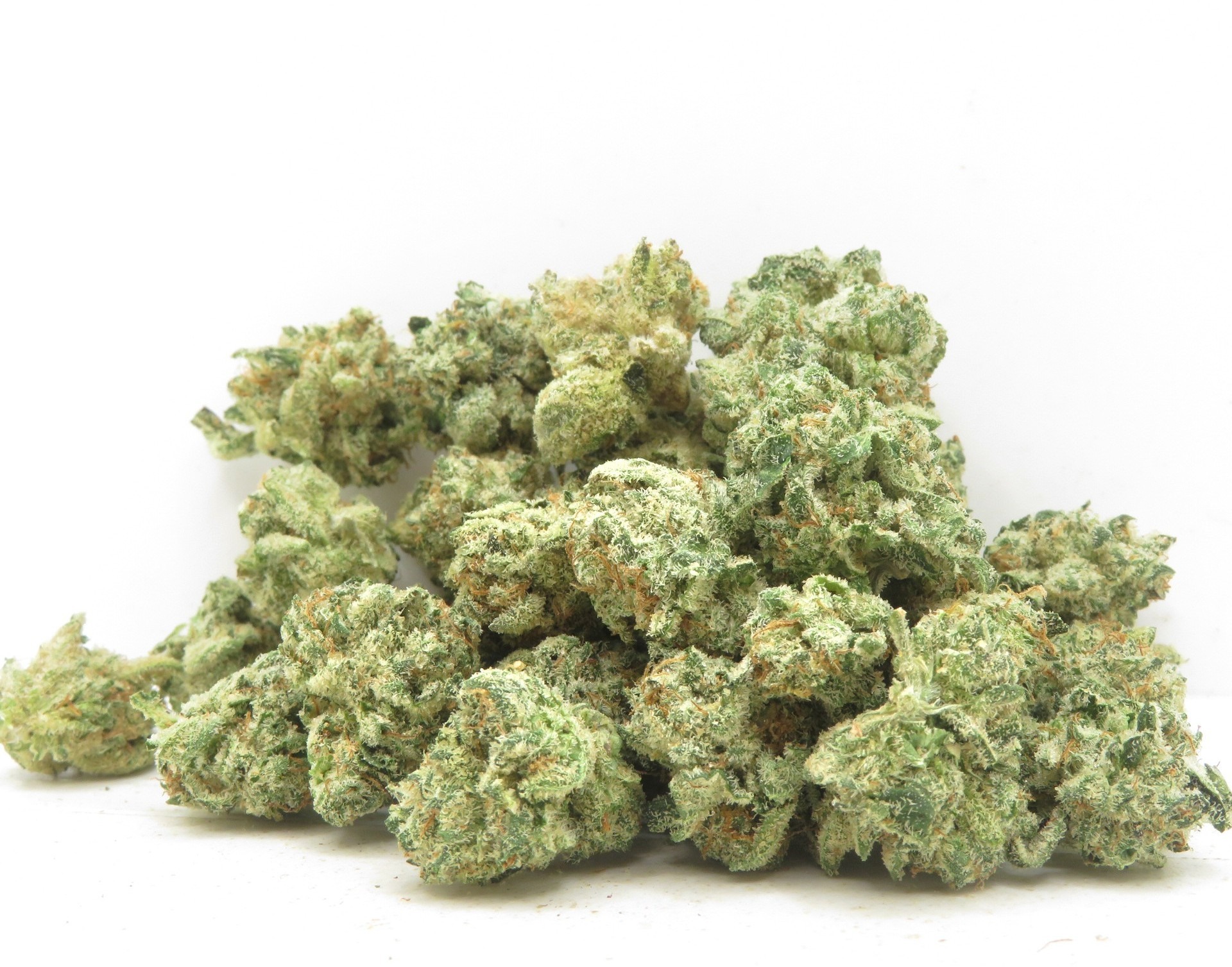 Primary Product Image